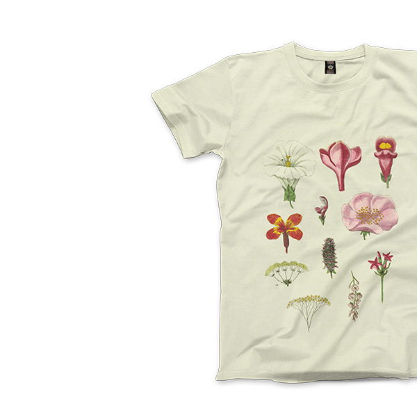 shop-img-3-gallery-1 i